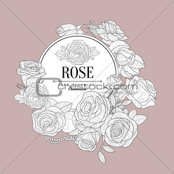 Rose Themed Vintage Sketch