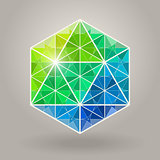 Abstract Vector Geometric Blue Green Hexagonal Sacred Geometry Shape Logo