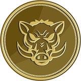 Wild Hog Head Angry Gold Coin Retro