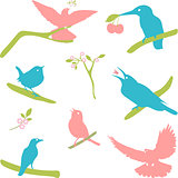 Vector Collection of Bird Silhouettes, colored silhouettes.