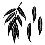 Willow Leaves, Pictogram Set