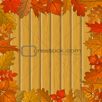 Autumn leaves and wooden fence