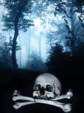 Skull and bones in the dark foggy forest
