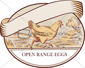 Hen Running Open Range Eggs Oval Drawing