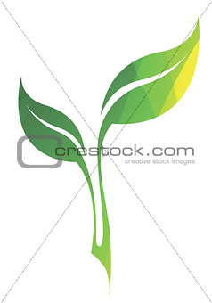 Vector stylized silhouette of spring green tree leaf isolated