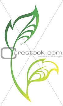 Vector stylized silhouette of spring green tree leaf isolated
