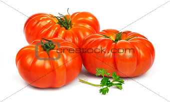 Ripe red tomatoes Timento.