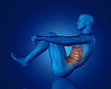 3D blue medical figure in sit up position