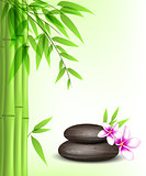 Green bamboo and spa stones