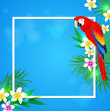 Tropical frame with parrot