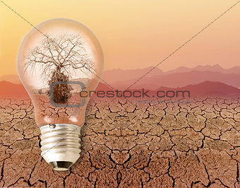 dead dry tree in a light bulb