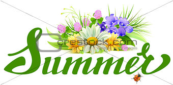 Summer lettering text. Bouquet of wild flowers chamomile, clover, bells