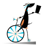 Cartoon dog rides a bike