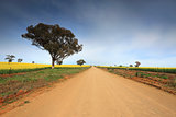 Country road through rural farmland
