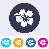 Vector hibiscus blossom icon