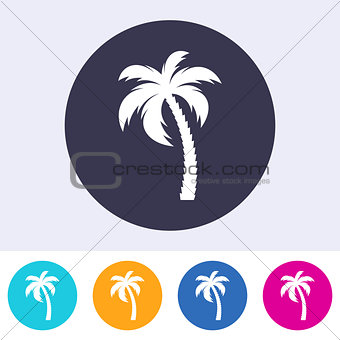 Vector single palm tree icon