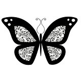 butterfly vector 3