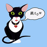 isolated black cartoon green eyes  cat with Speech Balloon