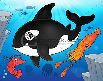 Ocean fauna topic image 9