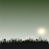 Grass and Sunshine silhouette