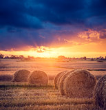 Summer Farm Scenery with Haystacks. Sunset View.