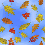 Leaves and Blue Sky