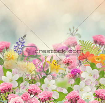 Beautiful Flowers Background
