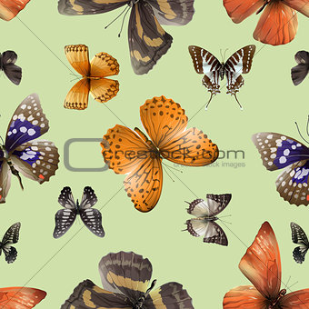 butterfly seamless 04