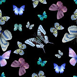 butterfly seamless 05