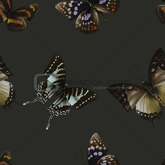 butterfly seamless 06 black