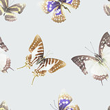 butterfly seamless 06 lith