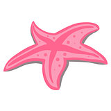 pink beach starfish