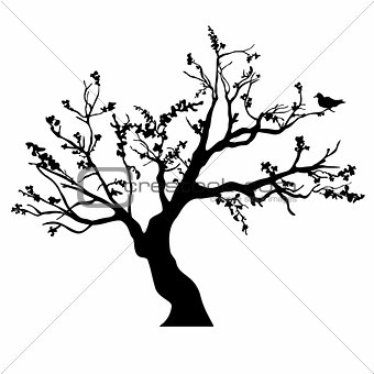 Tree black silhouette isolated on white background