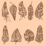 Hand Drawn Doodle Feather Set