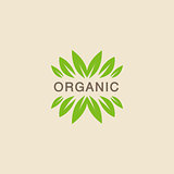 Text With Leaf Crowning Organic Product Logo