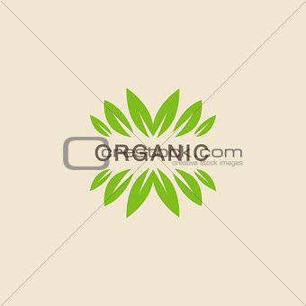 Text With Leaf Crowning Organic Product Logo