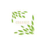 Leaf Frame Without Border Organic Product Logo