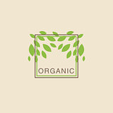 Double Frame With Leaves From Above Organic Product Logo