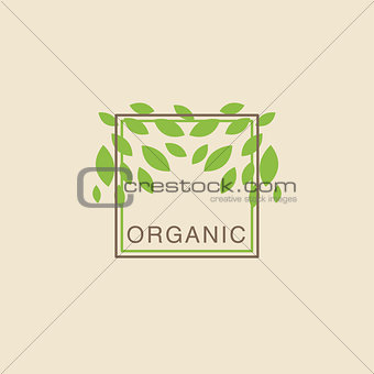 Double Frame With Leaves From Above Organic Product Logo