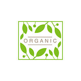 Frame With Leaves And Fruit Organic Product Logo