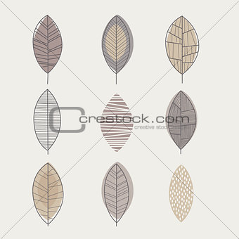 Similar Shape Leaf Set