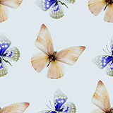 butterfly watercolor seamless 00