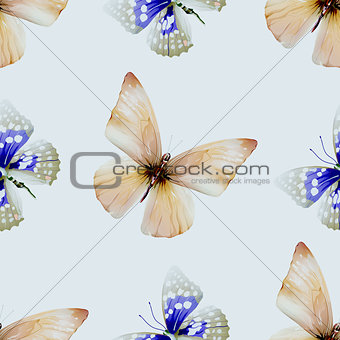 butterfly watercolor seamless 00