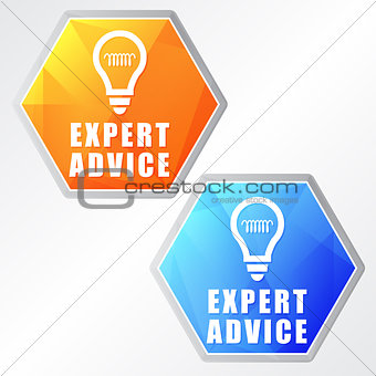 expert advice and bulb symbols, two colors hexagons web icons