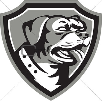 Rottweiler Guard Dog Shield Black and White