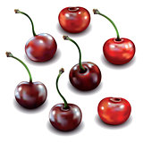 Set of cherries isolated on white background.