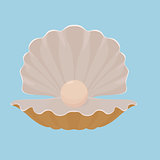 Scallop seashell with pearl illustration