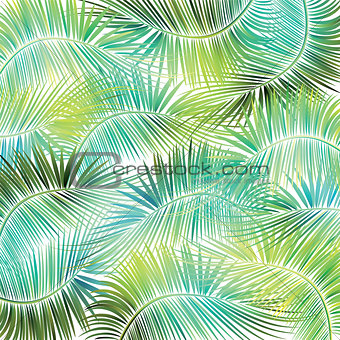 Palm tree branches on white background.