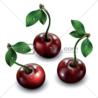 Three cherries isolated on white background. 