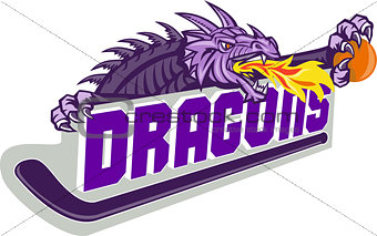 Dragon Fire Hockey Stick Basketball Retro